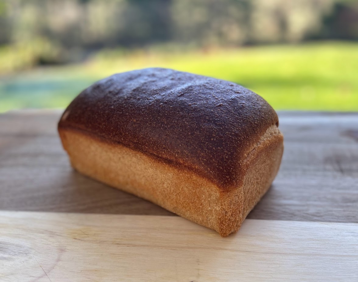 Fresh Milled Flour Yeast Sandwich Loaf